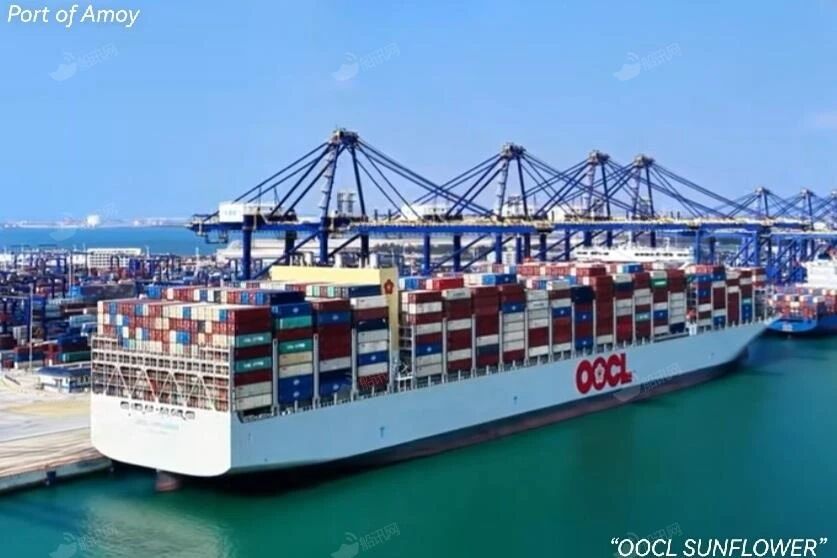 OOCL一集装箱船约57个货柜落水！曾挂靠南沙、盐田等港口